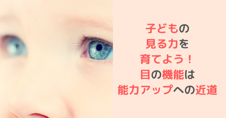 子どもの見る力を育てよう!目の機能は能力アップへの近道 | すくベビ